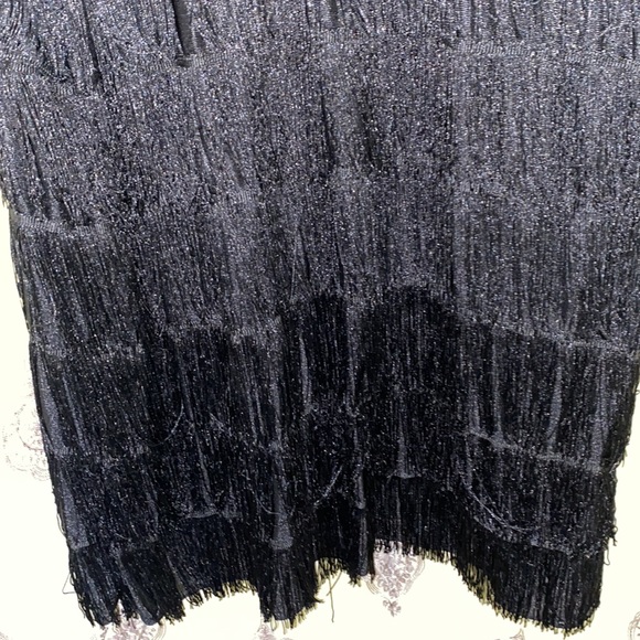 CALIFORNIA COSTUMES FRINGE “ROARING 20’S-STYLE” SLEEVELESS DRESS SZ 3X BOACK - Picture 4 of 11